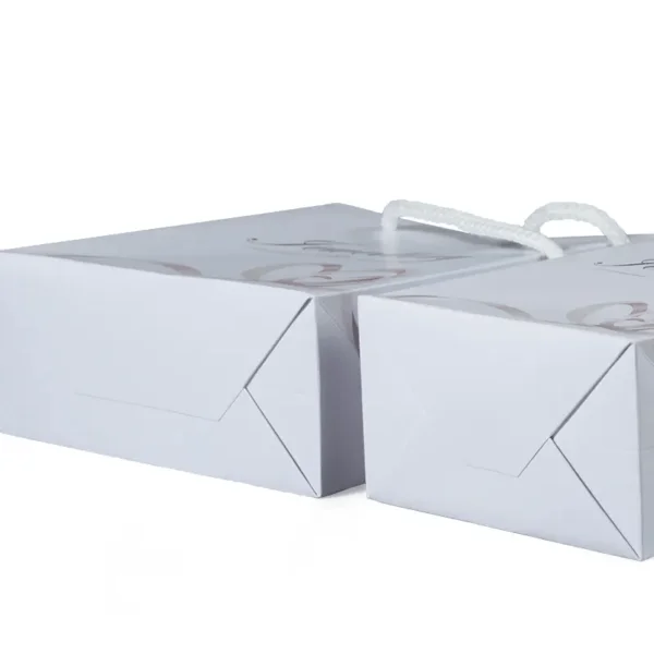 Jewellery Shopping bag BA005 20230317222126
